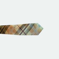 levin gardin long tie