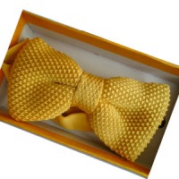 segrato yellow bow tie